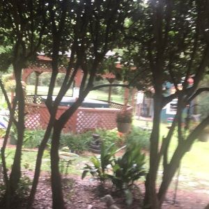 Meet your Posher, Joy